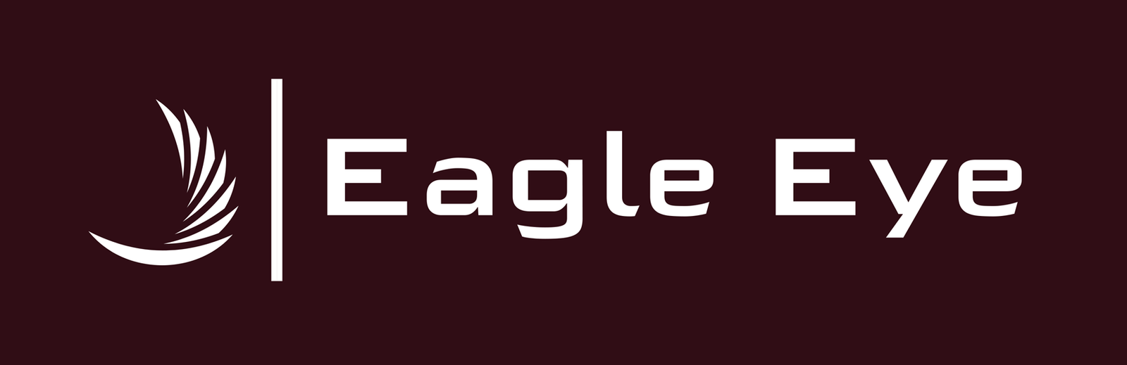 Eagle Eye Recruitment